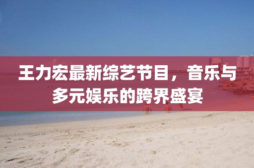 王力宏最新综艺节目，音乐与多元娱乐的跨界盛宴