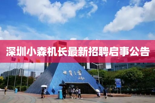 2024年12月 第370页