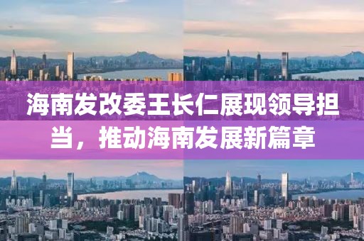 海南发改委王长仁展现领导担当，推动海南发展新篇章