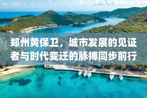 郑州黄保卫，城市发展的见证者与时代变迁的脉搏同步前行