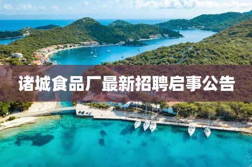 诸城食品厂最新招聘启事公告