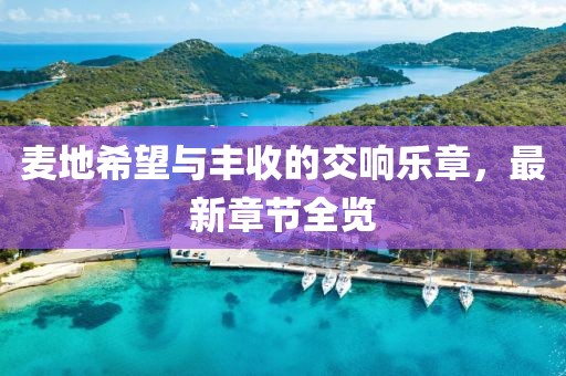 麦地希望与丰收的交响乐章，最新章节全览