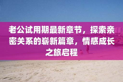 老公试用期最新章节，探索亲密关系的崭新篇章，情感成长之旅启程