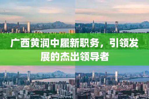 广西黄润中履新职务，引领发展的杰出领导者