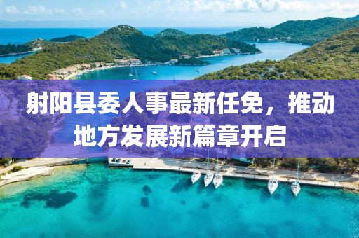 射阳县委人事最新任免，推动地方发展新篇章开启