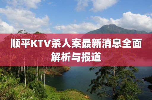 顺平KTV杀人案最新消息全面解析与报道