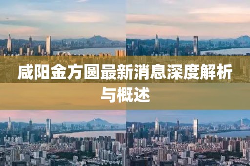 咸阳金方圆最新消息深度解析与概述
