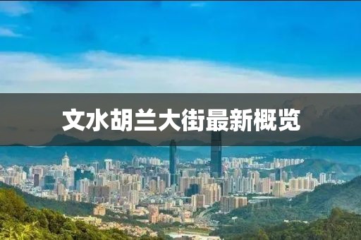 文水胡兰大街最新概览