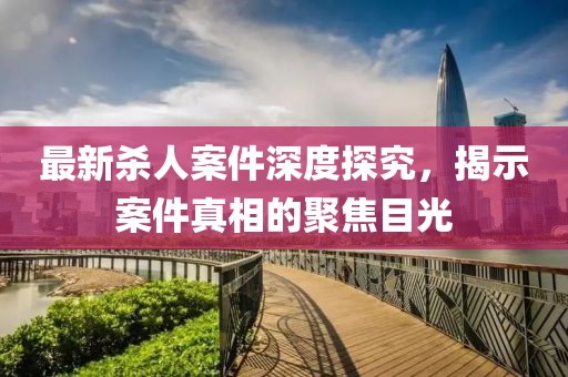最新杀人案件深度探究，揭示案件真相的聚焦目光