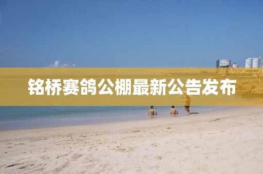 铭桥赛鸽公棚最新公告发布