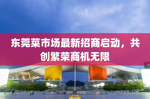 东莞菜市场最新招商启动，共创繁荣商机无限