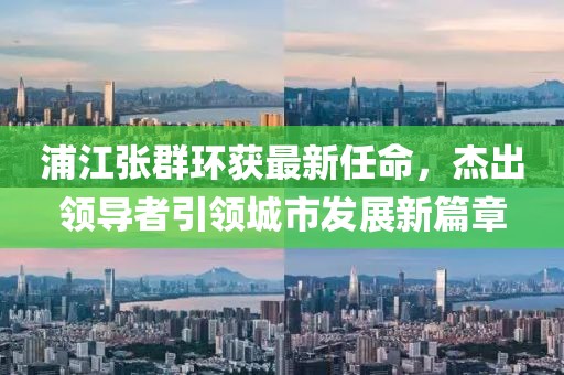 浦江张群环获最新任命，杰出领导者引领城市发展新篇章