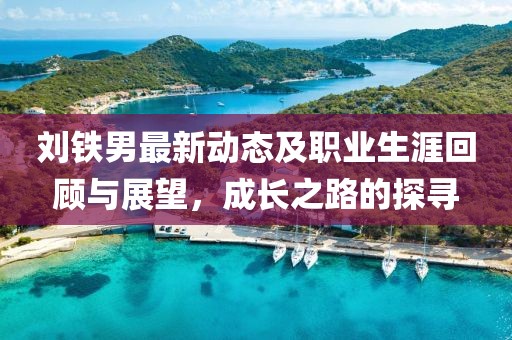 刘铁男最新动态及职业生涯回顾与展望，成长之路的探寻