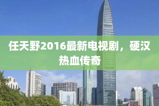 任天野2016最新电视剧，硬汉热血传奇