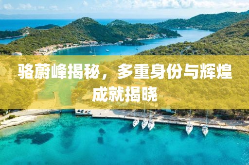 骆蔚峰揭秘，多重身份与辉煌成就揭晓