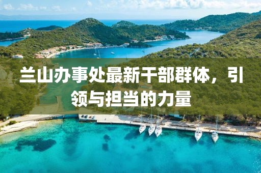 兰山办事处最新干部群体，引领与担当的力量