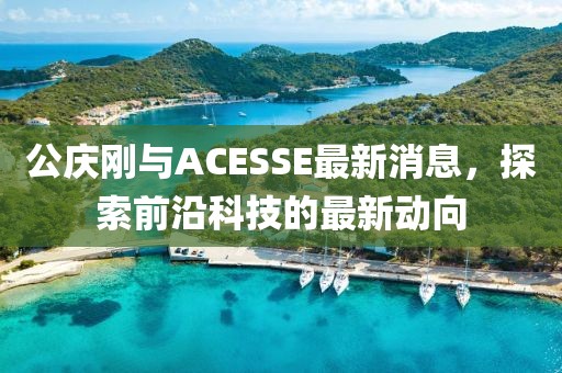 公庆刚与ACESSE最新消息，探索前沿科技的最新动向