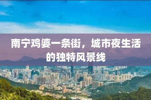 南宁鸡婆一条街，城市夜生活的独特风景线