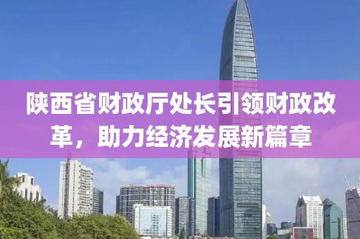 陕西省财政厅处长引领财政改革，助力经济发展新篇章