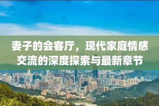 妻子的会客厅，现代家庭情感交流的深度探索与最新章节