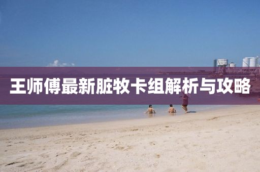王师傅最新脏牧卡组解析与攻略