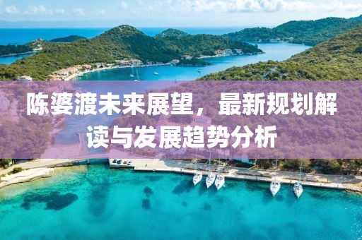 陈婆渡未来展望，最新规划解读与发展趋势分析