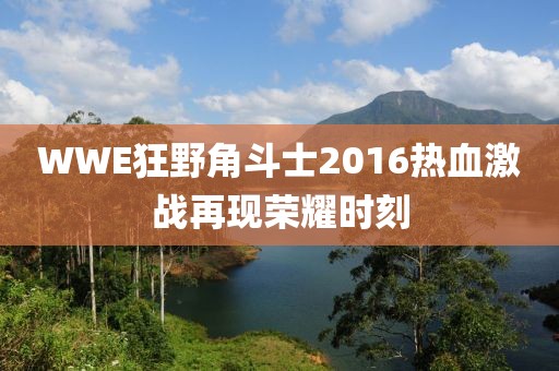 WWE狂野角斗士2016热血激战再现荣耀时刻