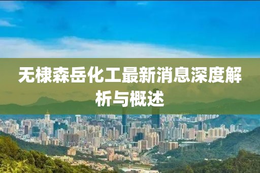 无棣森岳化工最新消息深度解析与概述