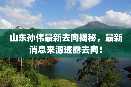 山东孙伟最新去向揭秘，最新消息来源透露去向！
