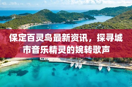 保定百灵鸟最新资讯，探寻城市音乐精灵的婉转歌声