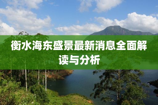 衡水海东盛景最新消息全面解读与分析