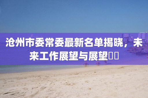 沧州市委常委最新名单揭晓，未来工作展望与展望​​