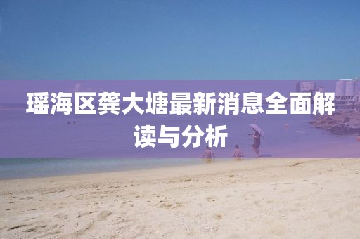 瑶海区龚大塘最新消息全面解读与分析