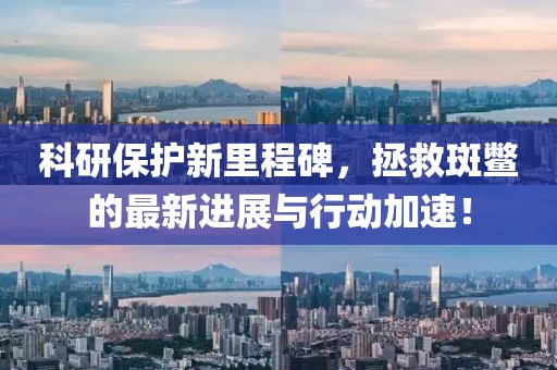 扬帆起航 第20页