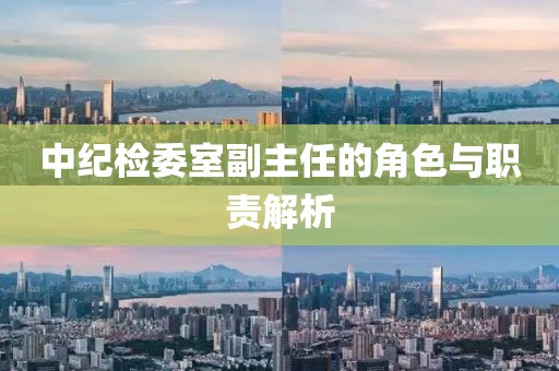 中纪检委室副主任的角色与职责解析