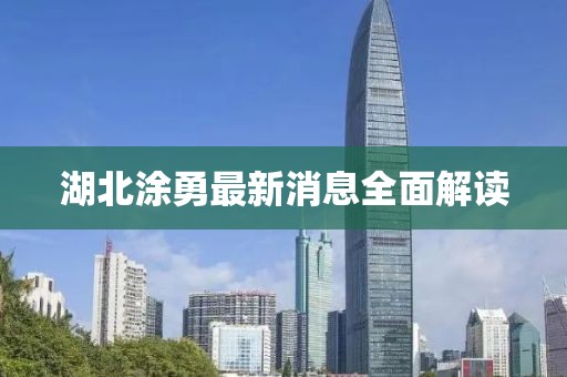 湖北涂勇最新消息全面解读
