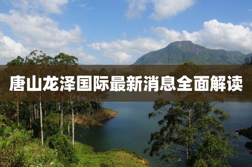 唐山龙泽国际最新消息全面解读