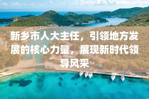 新乡市人大主任，引领地方发展的核心力量，展现新时代领导风采