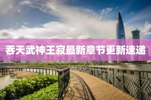 吞天武神王寂最新章节更新速递