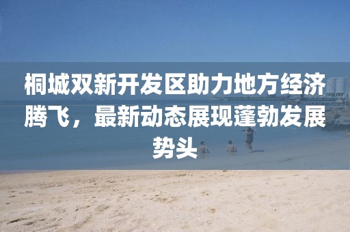 桐城双新开发区助力地方经济腾飞，最新动态展现蓬勃发展势头