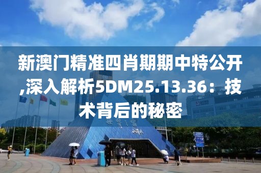 新澳门精准四肖期期中特公开,深入解析5DM25.13.36：技术背后的秘密