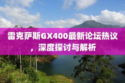 雷克萨斯GX400最新论坛热议，深度探讨与解析