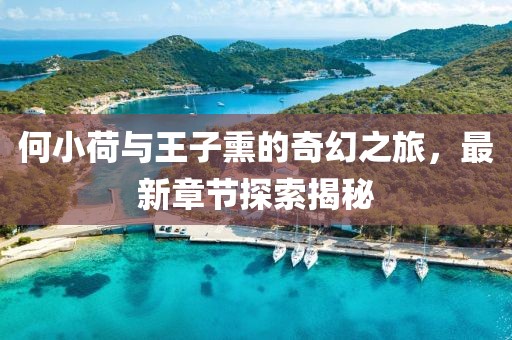 何小荷与王子熏的奇幻之旅，最新章节探索揭秘