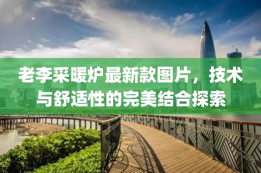 亮明之王 第17页