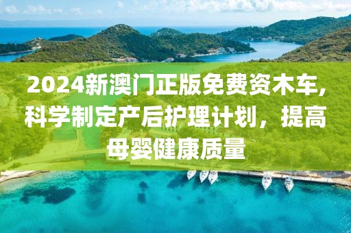 2024新澳门正版免费资木车,科学制定产后护理计划，提高母婴健康质量