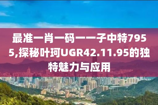 最准一肖一码一一子中特7955,探秘叶珂UGR42.11.95的独特魅力与应用