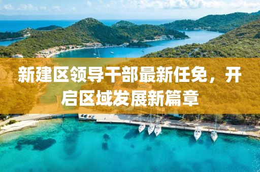 新建区领导干部最新任免，开启区域发展新篇章
