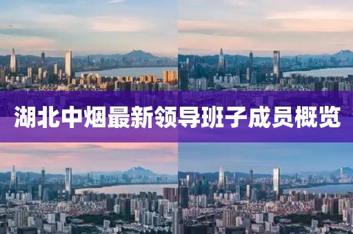 湖北中烟最新领导班子成员概览