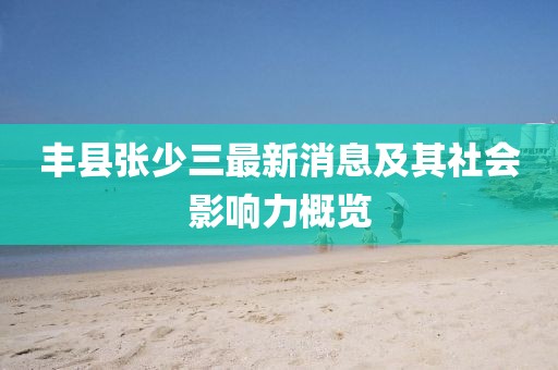 丰县张少三最新消息及其社会影响力概览