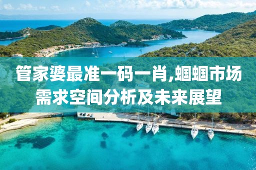 管家婆最准一码一肖,蝈蝈市场需求空间分析及未来展望